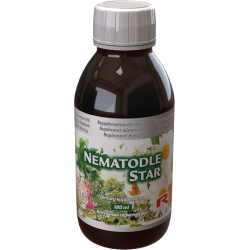NEMATODLE STAR